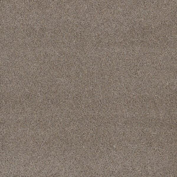 Dreamweaver Carpet Stunning Ash Carpet 4765_945