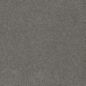 Dreamweaver Carpet Stunning Orion Carpet 4765_955