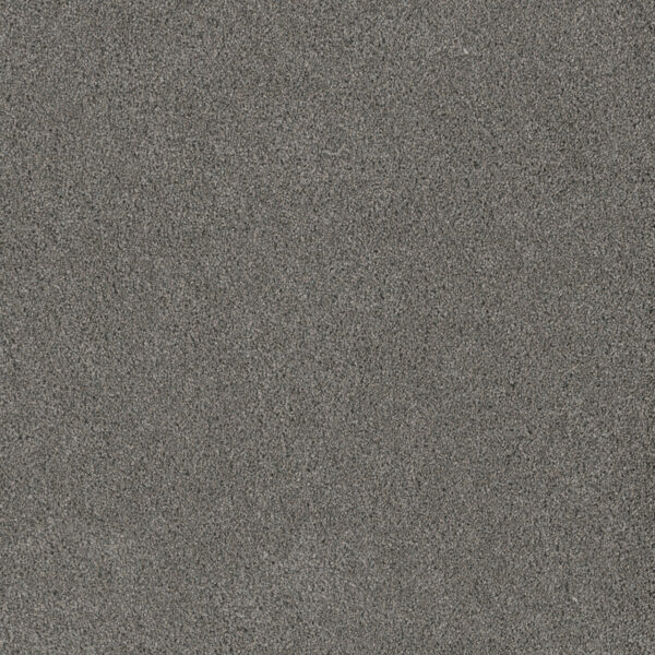 Dreamweaver Carpet Stunning Orion Carpet 4765_955