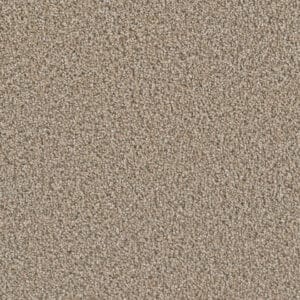 Dreamweaver Carpet Dazzling Straw Carpet 4775_551