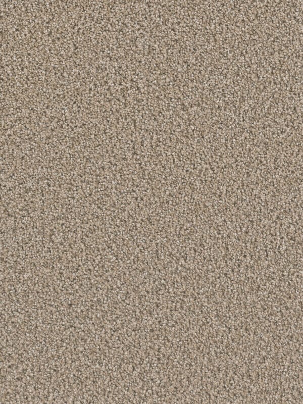 Dreamweaver Carpet Dazzling Straw Carpet 4775_551