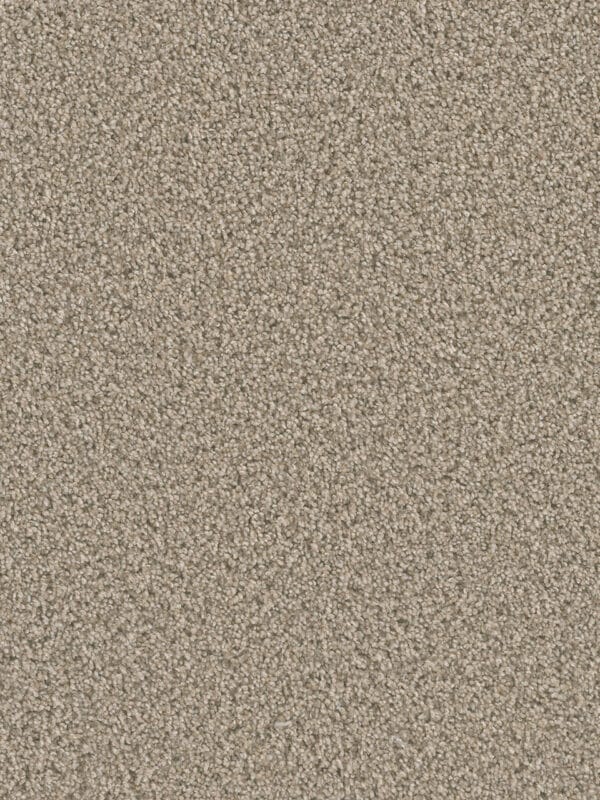 Dreamweaver Carpet Dazzling Oxford Carpet 4775_720