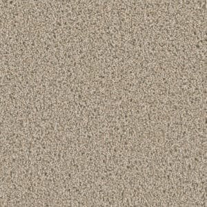 Dreamweaver Carpet Dazzling Ginger Carpet 4775_726