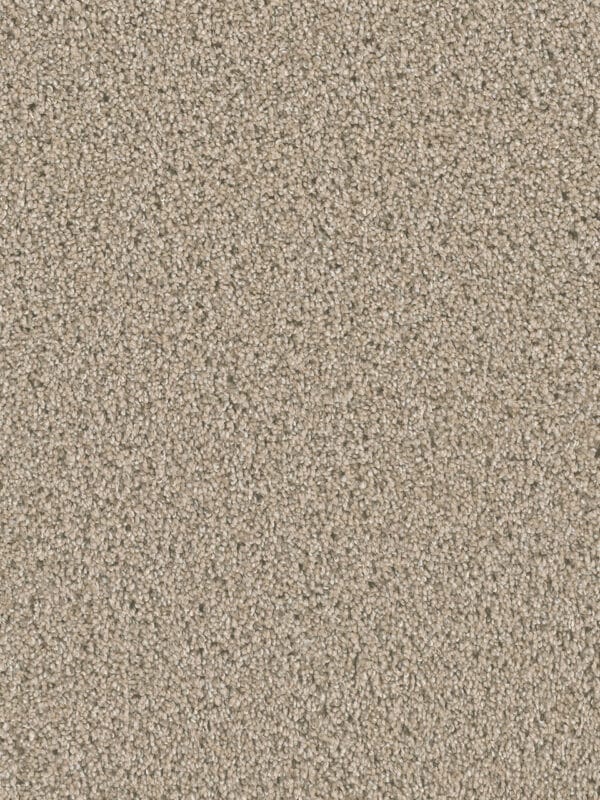 Dreamweaver Carpet Dazzling Ginger Carpet 4775_726