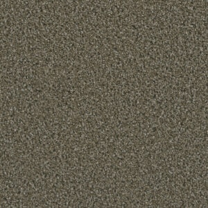 Dreamweaver Carpet Dazzling Peppercorn Carpet 4775_753