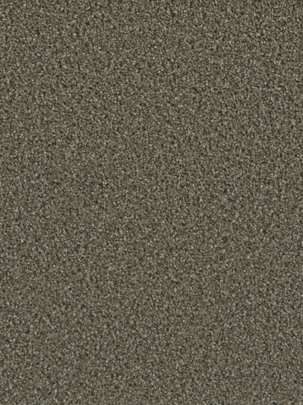 Dreamweaver Carpet Dazzling Peppercorn Carpet 4775_753