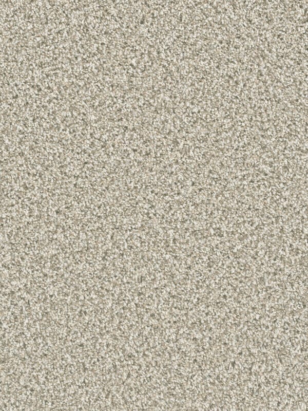 Dreamweaver Carpet Dazzling Seashells Carpet 4775_758