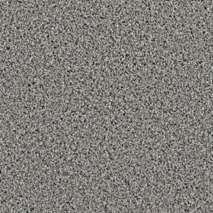 Dreamweaver Carpet Dazzling Mocha Carpet 4775_775