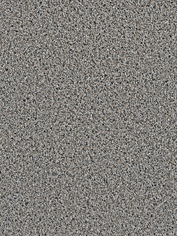 Dreamweaver Carpet Dazzling Mocha Carpet 4775_775