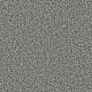 Dreamweaver Carpet Dazzling Iron Frost Carpet 4775_815