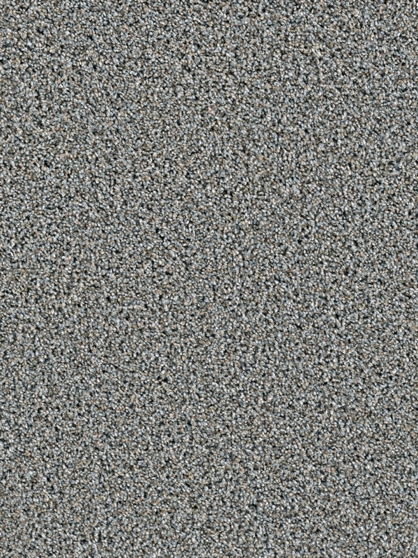 Dreamweaver Carpet Dazzling Iron Frost Carpet 4775_815
