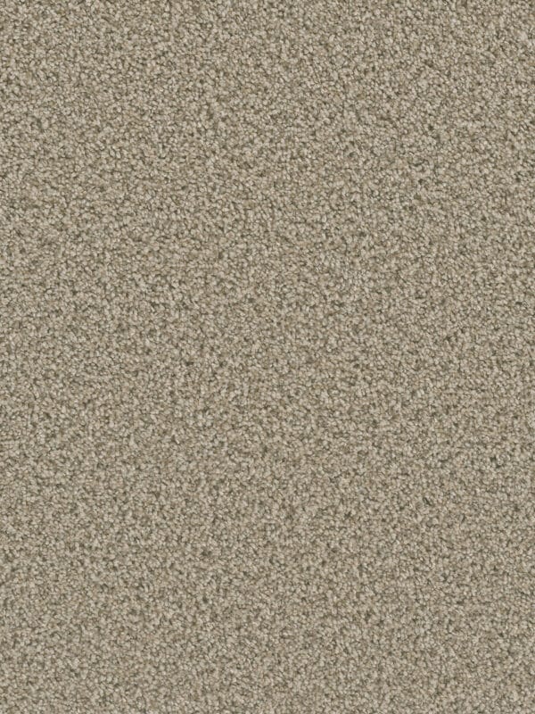 Dreamweaver Carpet Dazzling Linen Carpet 4775_824