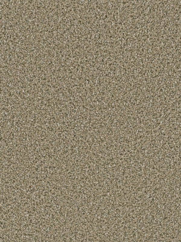 Dreamweaver Carpet Dazzling Wicker Carpet 4775_825
