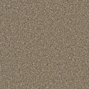 Dreamweaver Carpet Dazzling Acorn Carpet 4775_858