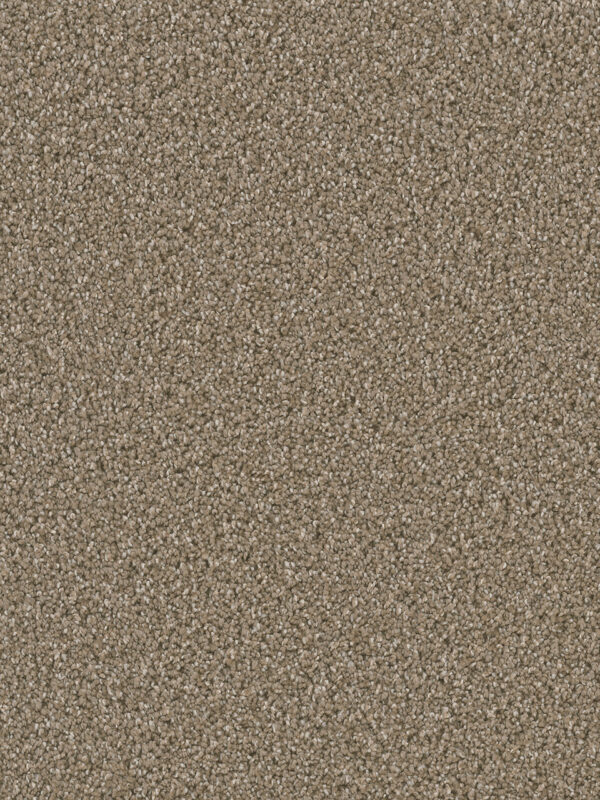 Dreamweaver Carpet Dazzling Acorn Carpet 4775_858