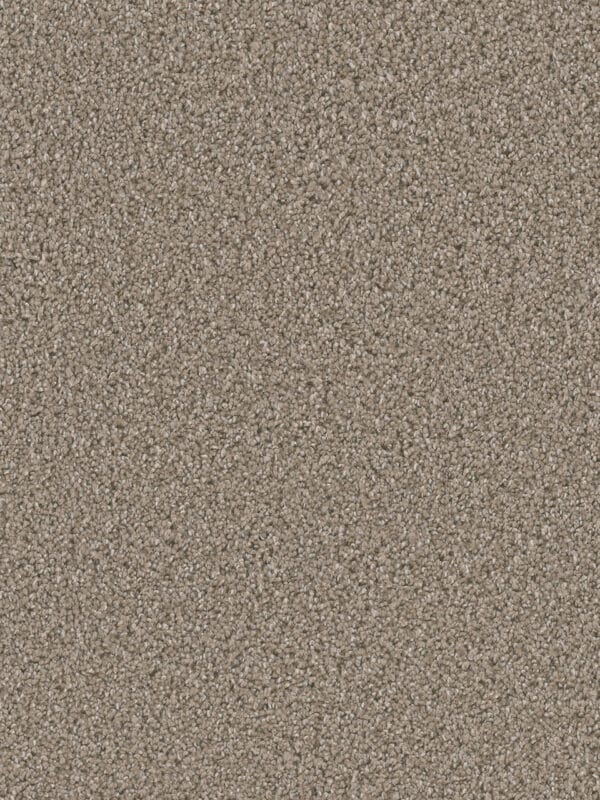 Dreamweaver Carpet Dazzling Tumbleweed Carpet 4775_883