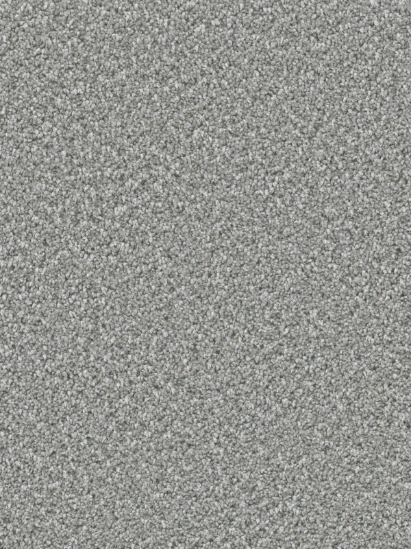 Dreamweaver Carpet Dazzling Moonstone Carpet 4775_903