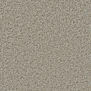 Dreamweaver Carpet Dazzling Stucco Carpet 4775_905