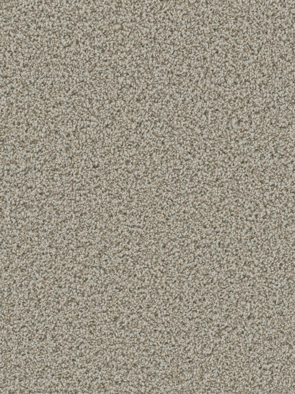 Dreamweaver Carpet Dazzling Stucco Carpet 4775_905