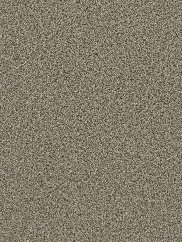 Dreamweaver Carpet Dazzling Ash Carpet 4775_945
