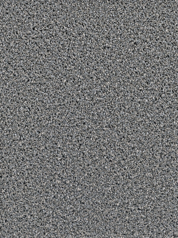 Dreamweaver Carpet Dazzling Orion Carpet 4775_955