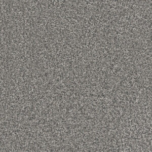Dreamweaver Carpet Windy City II Millstone Carpet 4935_1970