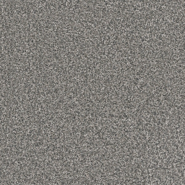 Dreamweaver Carpet Windy City III Millstone Carpet 4948_1970