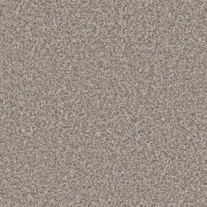 Dreamweaver Carpet Windy City II Sageview Carpet 4935_3270