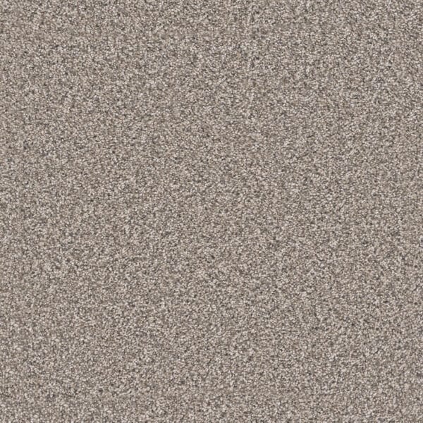 Dreamweaver Carpet Windy City III Sageview Carpet 4948_3270