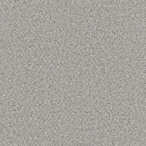 Dreamweaver Carpet Windy City II Moon Rise Carpet 4935_4145
