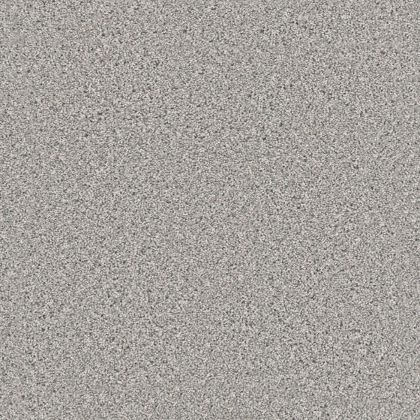Dreamweaver Carpet Windy City III Moon Rise Carpet 4948_4145