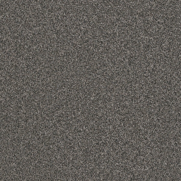 Dreamweaver Carpet Windy City II Smoky Quartz Carpet 4935_4180