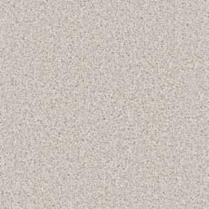 Dreamweaver Carpet Windy City III Classico Carpet 4948_5046