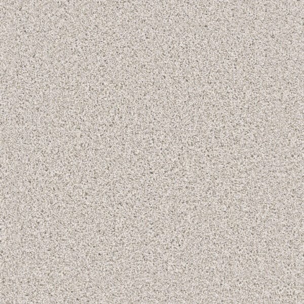 Dreamweaver Carpet Windy City III Classico Carpet 4948_5046