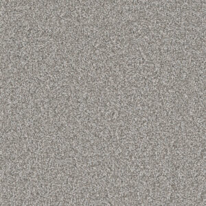Dreamweaver Carpet Windy City II Zephyr Carpet 4935_5054