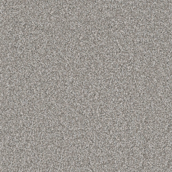 Dreamweaver Carpet Windy City II Zephyr Carpet 4935_5054