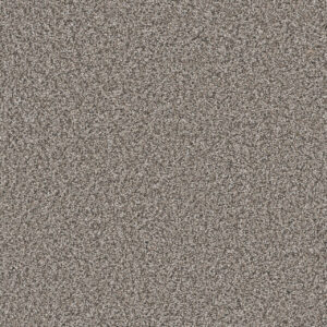Dreamweaver Carpet Windy City II Mesa Falls Carpet 4935_6028