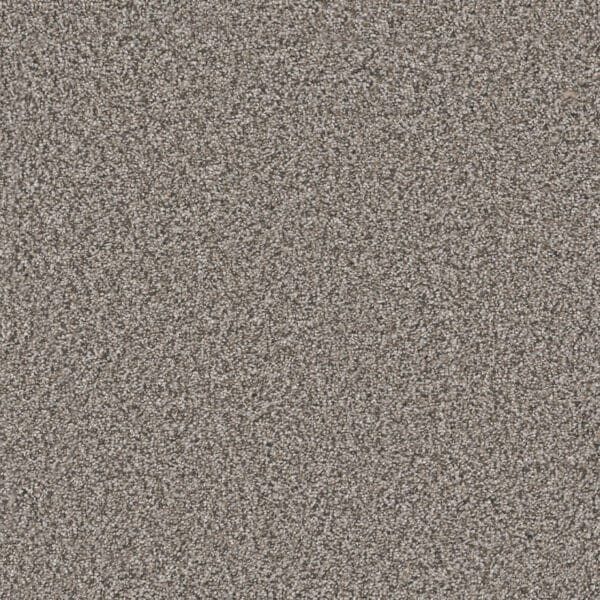 Dreamweaver Carpet Windy City II Mesa Falls Carpet 4935_6028
