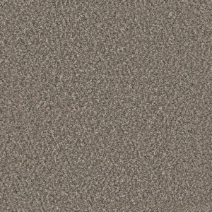 Dreamweaver Carpet Windy City III Autumn Glow Carpet 4948_6030