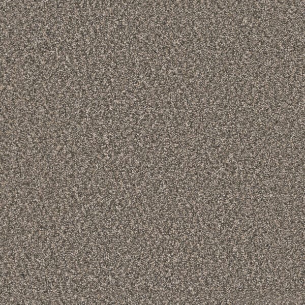 Dreamweaver Carpet Windy City III Autumn Glow Carpet 4948_6030