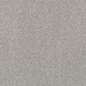 Dreamweaver Carpet Windy City II Marble Glaze Carpet 4935_6048