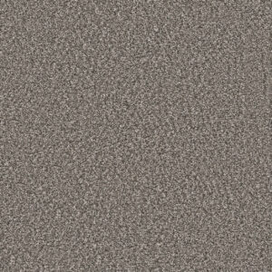 Dreamweaver Carpet Windy City II Olivewood Carpet 4935_6050
