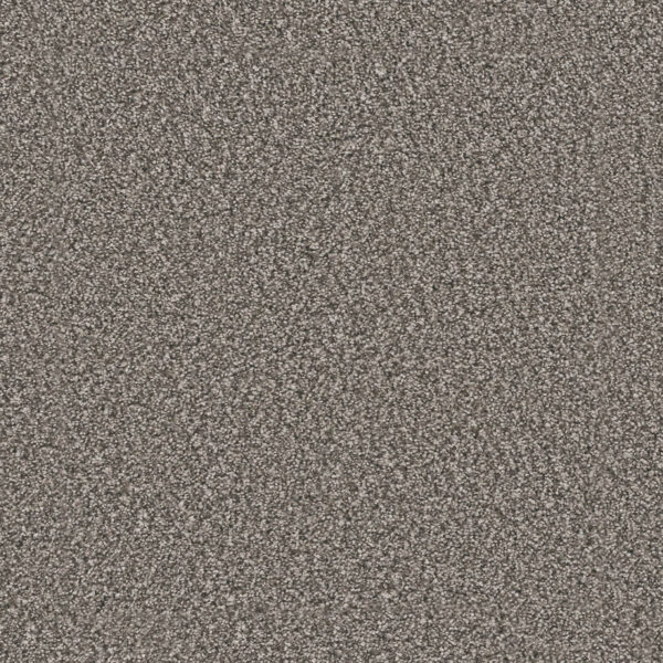 Dreamweaver Carpet Windy City II Olivewood Carpet 4935_6050