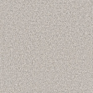 shop qulaity carpet - best price and more