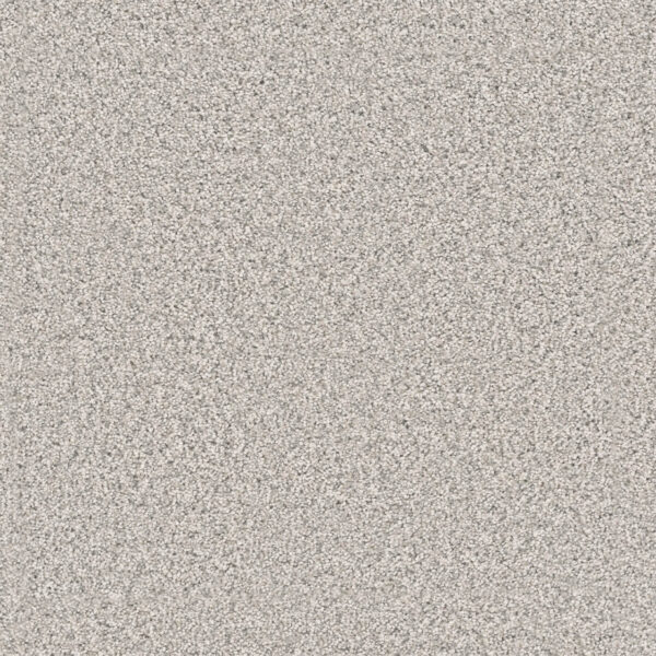 shop qulaity carpet - best price and more