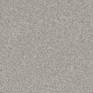 Dreamweaver Carpet Windy City III Falling Star Carpet 4948_6069