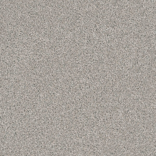 Dreamweaver Carpet Windy City III Falling Star Carpet 4948_6069