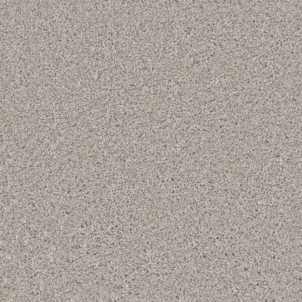 Dreamweaver Carpet Windy City III Antique Fresco Carpet 4948_6076