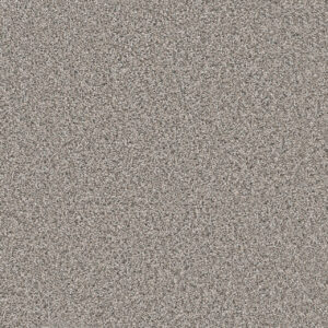Dreamweaver Carpet Windy City III Cottonwood Carpet 4948_6107