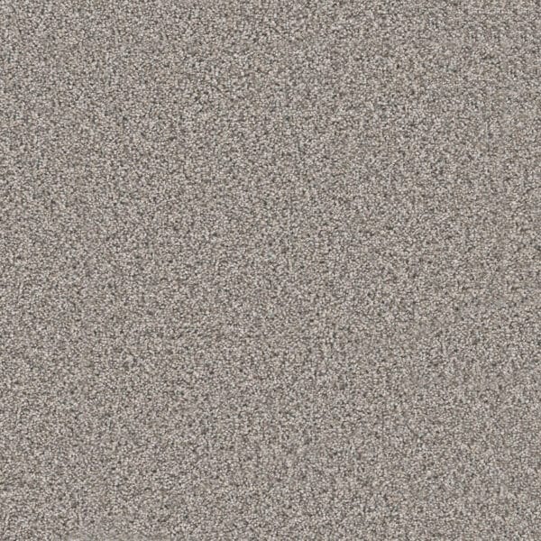 Dreamweaver Carpet Windy City III Cottonwood Carpet 4948_6107